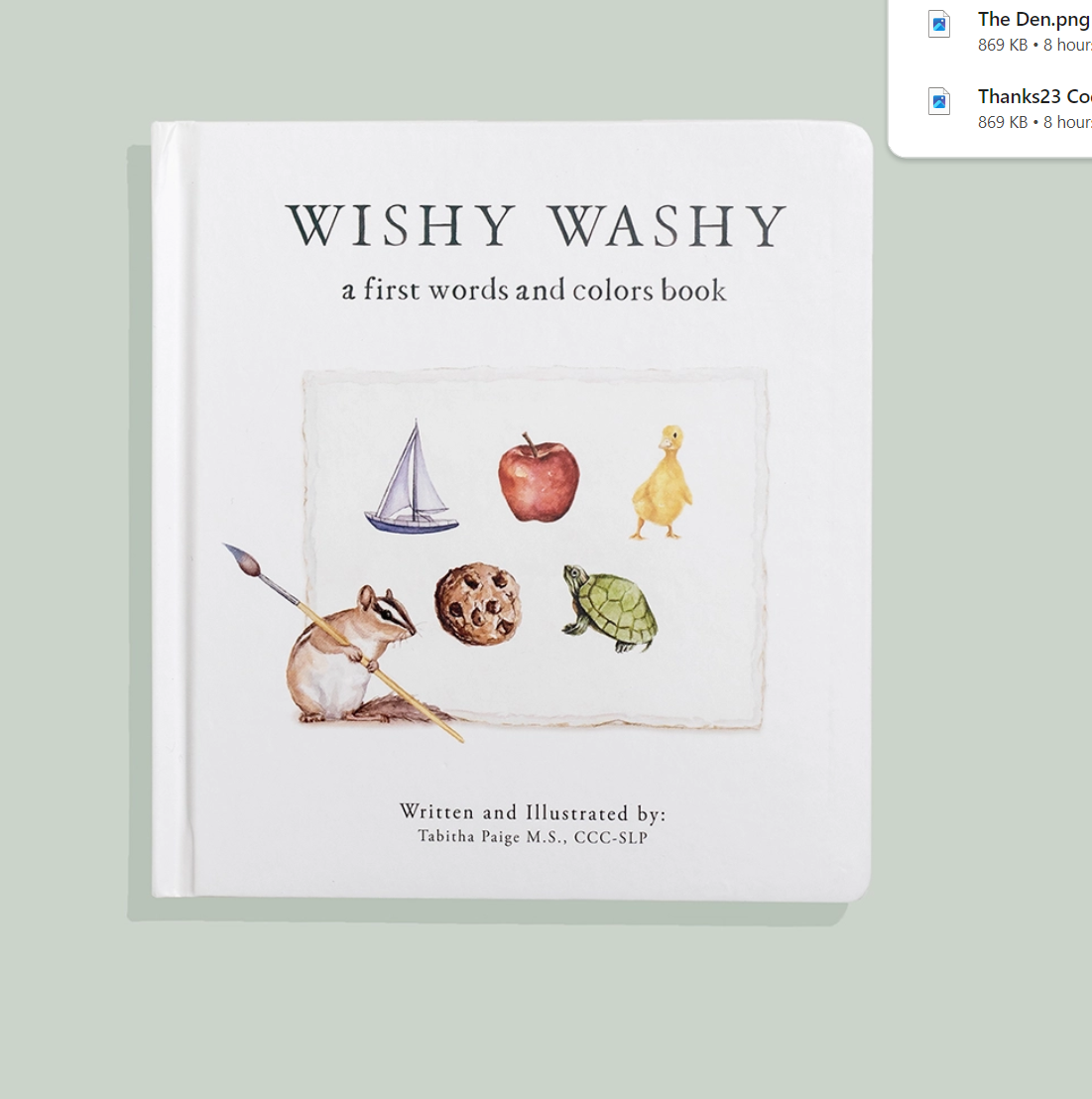 Wishy Washy: A Board Book of First Words and Colors