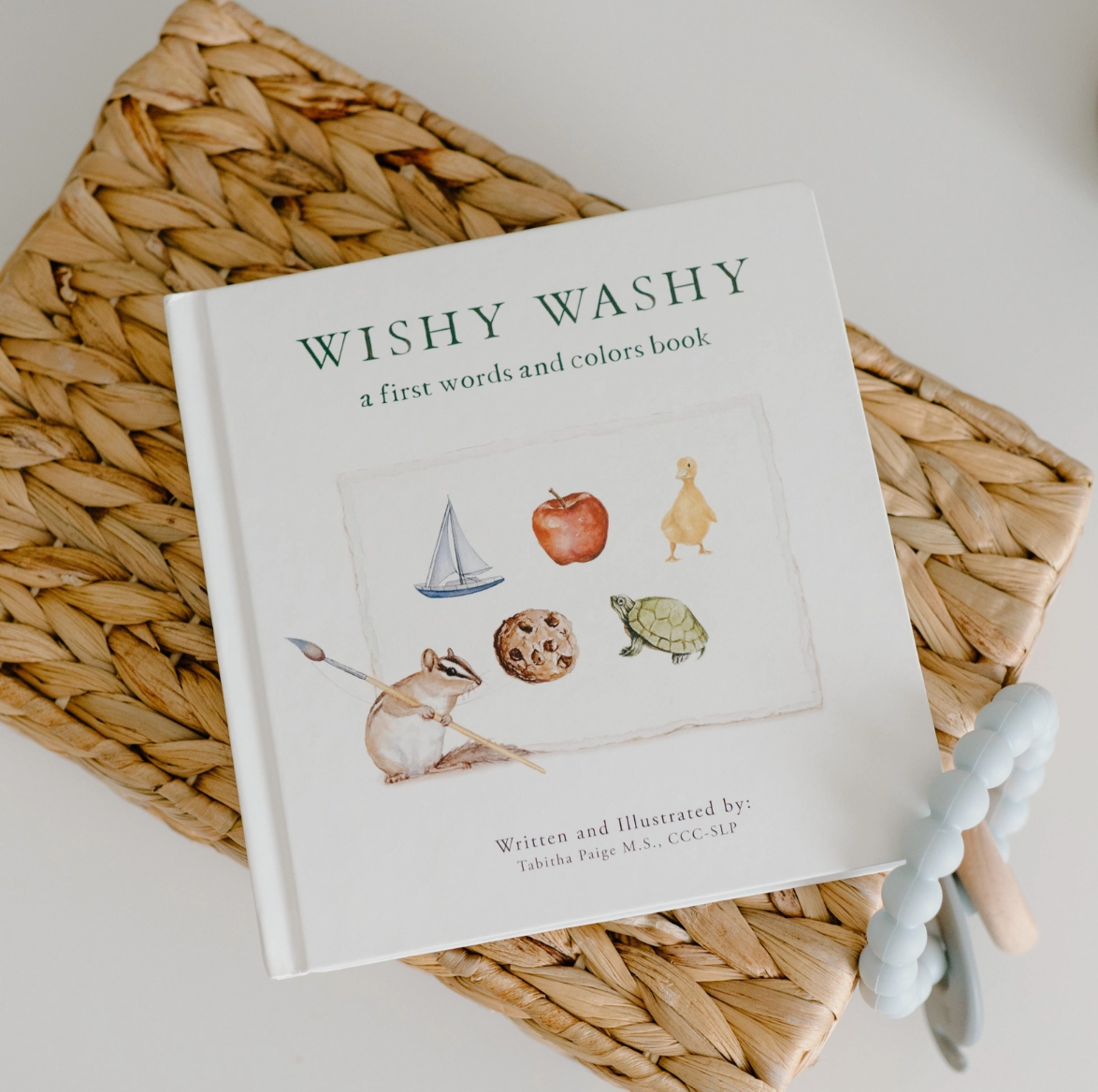 Wishy Washy: A Board Book of First Words and Colors